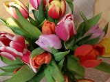 20160212_210926.jpg