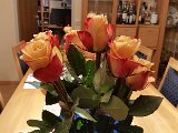 20160218_210344.jpg
