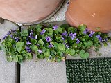 20160310_070935.jpg