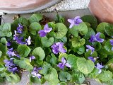 20160310_070950.jpg
