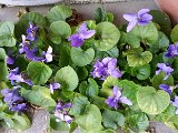 20160310_070959.jpg