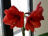 20160401_135052.jpg