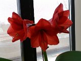 20160401_135100.jpg