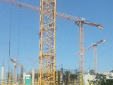 20160413_124123.jpg