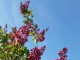 20160422_071451.jpg