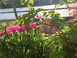 20160422_071540.jpg