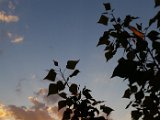 20160507_200024.jpg