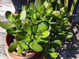 20160521_122554 - Kopie.jpg