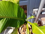 20160521_122616.jpg