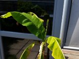 20160521_122623.jpg