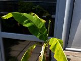 20160521_122624 - Kopie.jpg