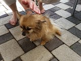 20160521_154725 - Kopie.jpg