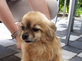 20160521_154735 - Kopie.jpg