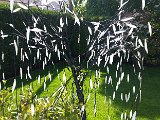 20160521_154802 - Kopie.jpg