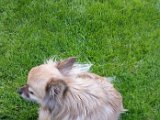 20160521_155543.jpg