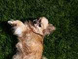20160521_161403.jpg