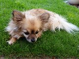 20160521_173620.jpg