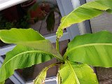 20160604_180231.jpg