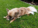 20160605_153052.jpg