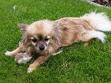 20160605_153103(0).jpg