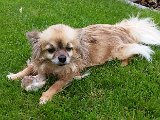 20160605_153103.jpg