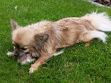 20160605_153107.jpg