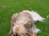 20160605_153801.jpg