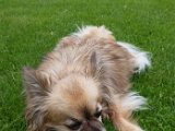 20160605_153808.jpg