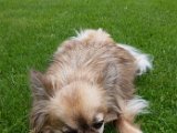 20160605_153809.jpg