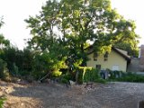 20160607_190845.jpg
