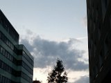 20160610_205008.jpg