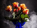 IMG_0019.jpg