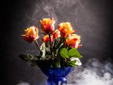 IMG_0024.jpg