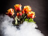 IMG_0030.jpg