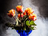 IMG_0038.jpg