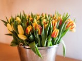 20170404_Uschi50