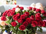 IMG_0667.jpg