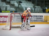 IMG_1546.jpg