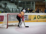 IMG_1593.jpg