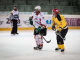 IMG_1924.jpg
