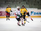 IMG_1936.jpg