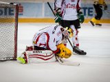 IMG_1966.jpg