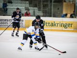 IMG_2044.jpg