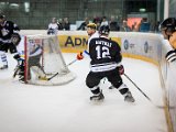 IMG_2061.jpg