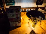 IMG_2852.jpg
