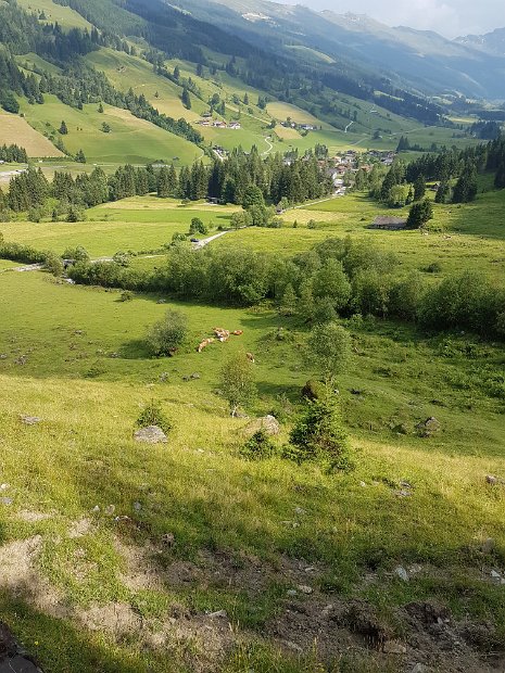 20170624_165822(0)