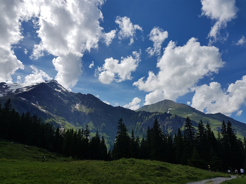 20170626_155424