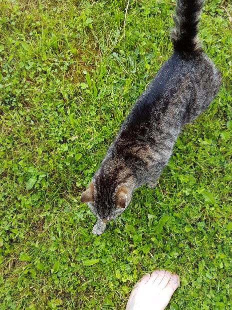 20170628_090547