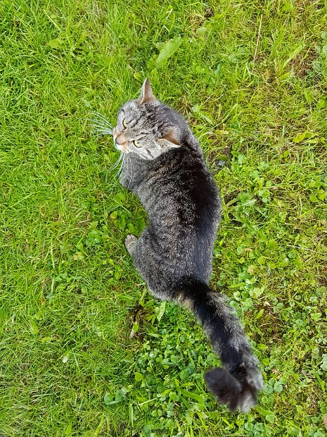 20170628_090608