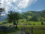 20170624_135219.jpg
